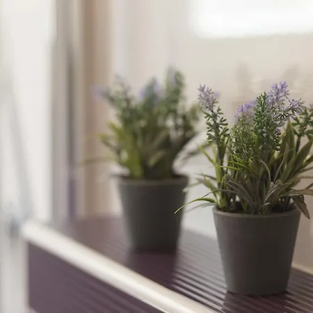 Гостевой дом Milan 3*